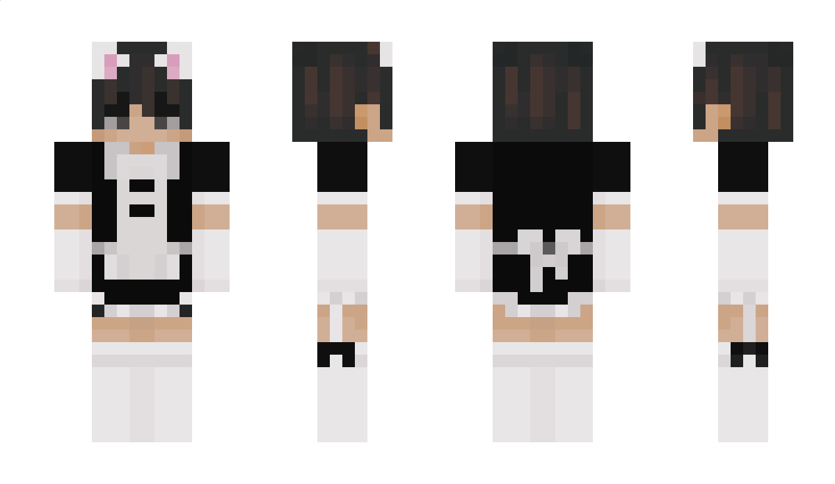 Lednice Minecraft Skin