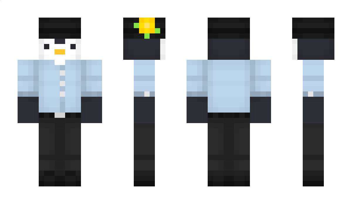 viniland Minecraft Skin