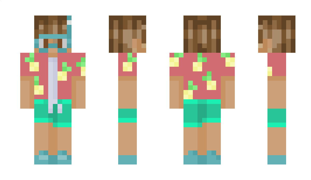 hcwdy Minecraft Skin