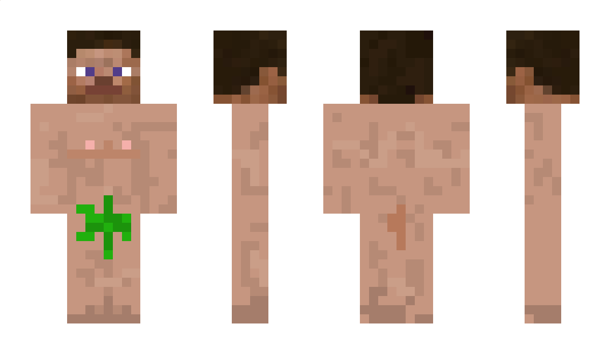 bumszakalaka Minecraft Skin