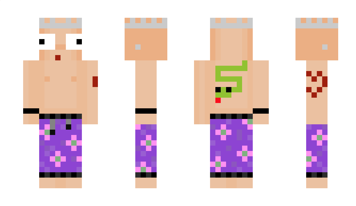 eliz0rd Minecraft Skin