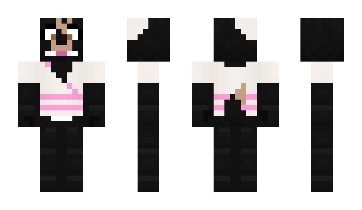 FlairGaming Minecraft Skin