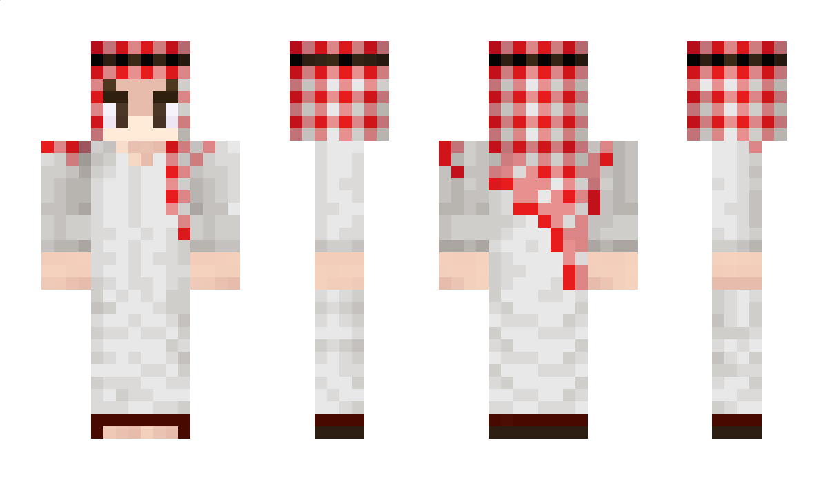 zsamir Minecraft Skin