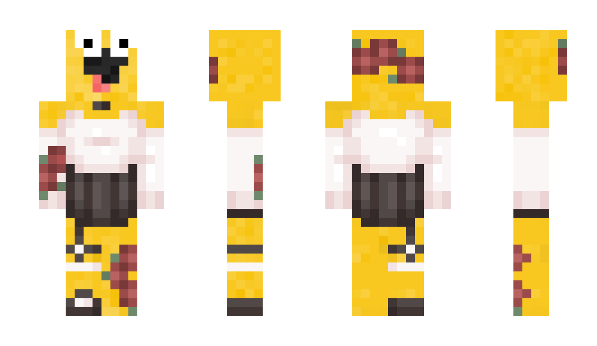 VLLA Minecraft Skin