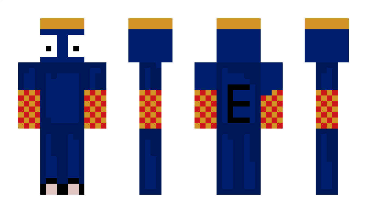 BayPotter Minecraft Skin