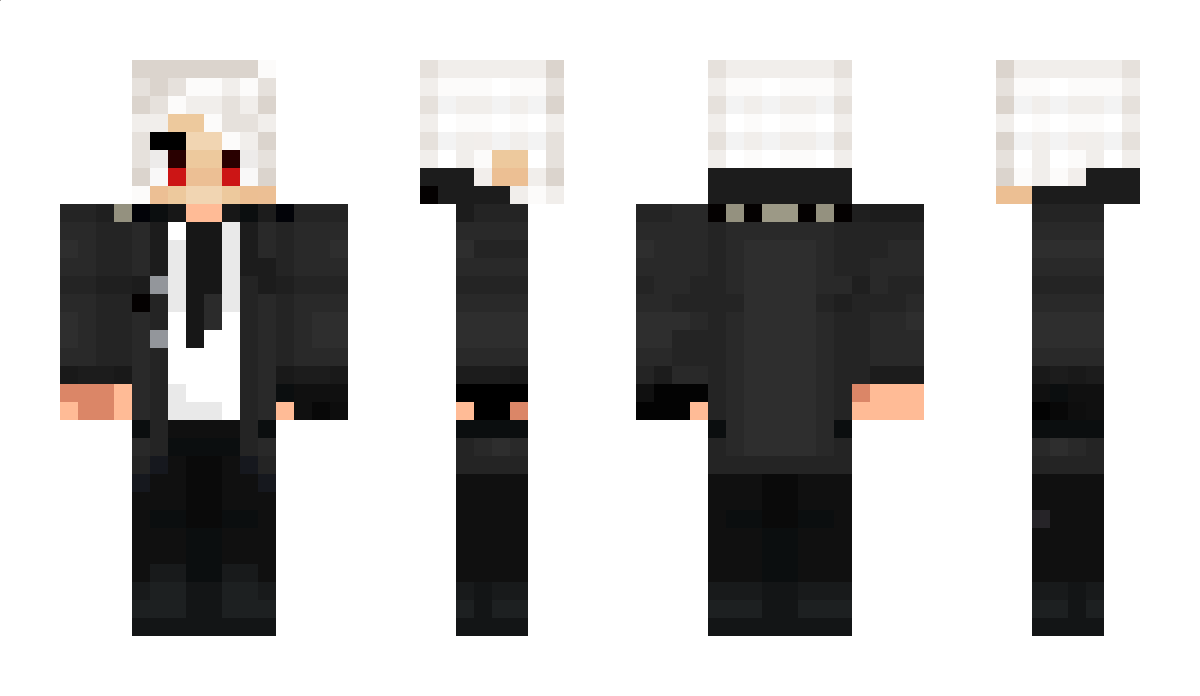 zi9p Minecraft Skin