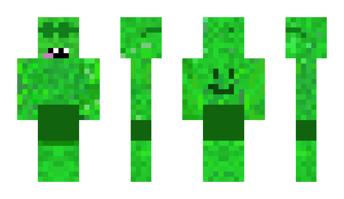 PicklBoi Minecraft Skin