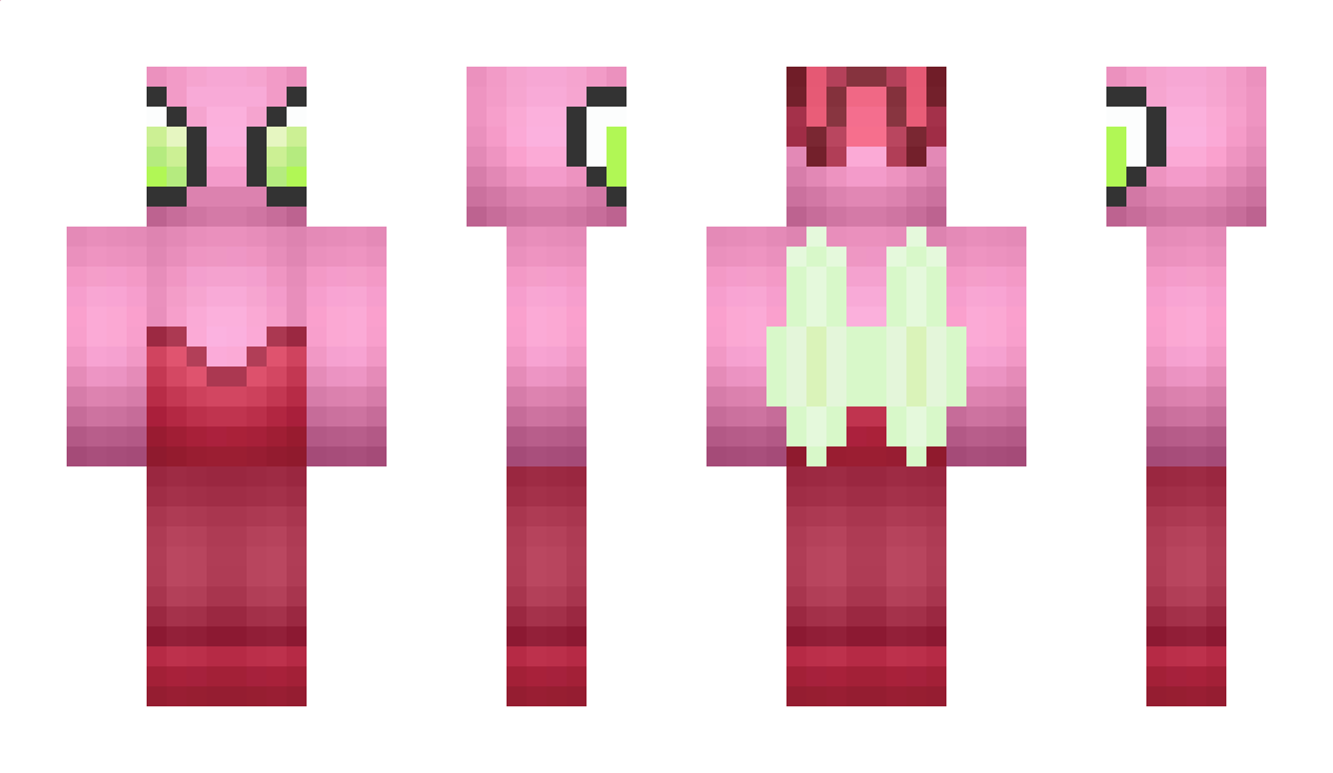 Nokai Minecraft Skin