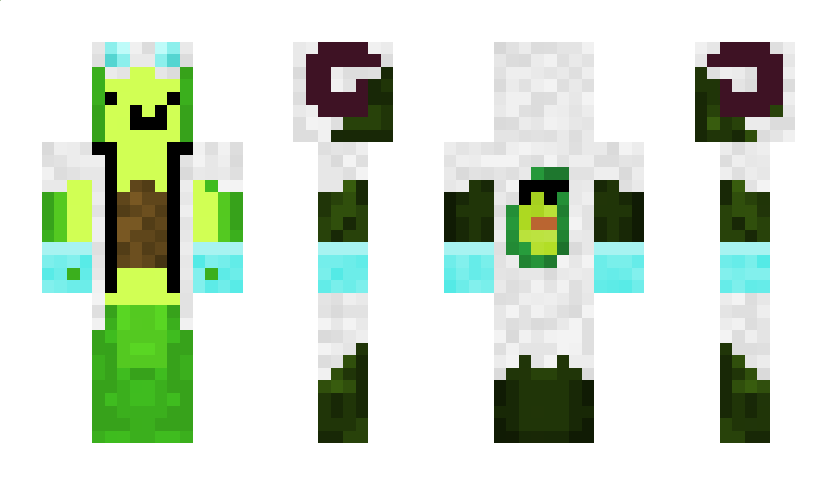 AvocadoMC Minecraft Skin