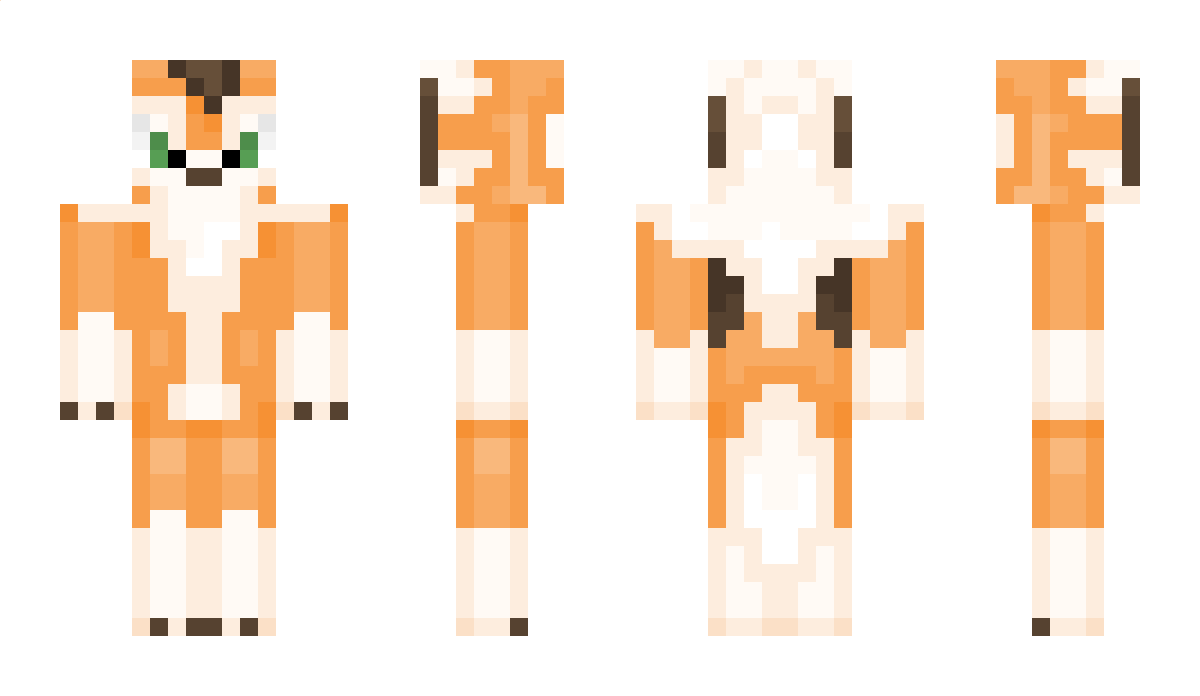 sn5k Minecraft Skin