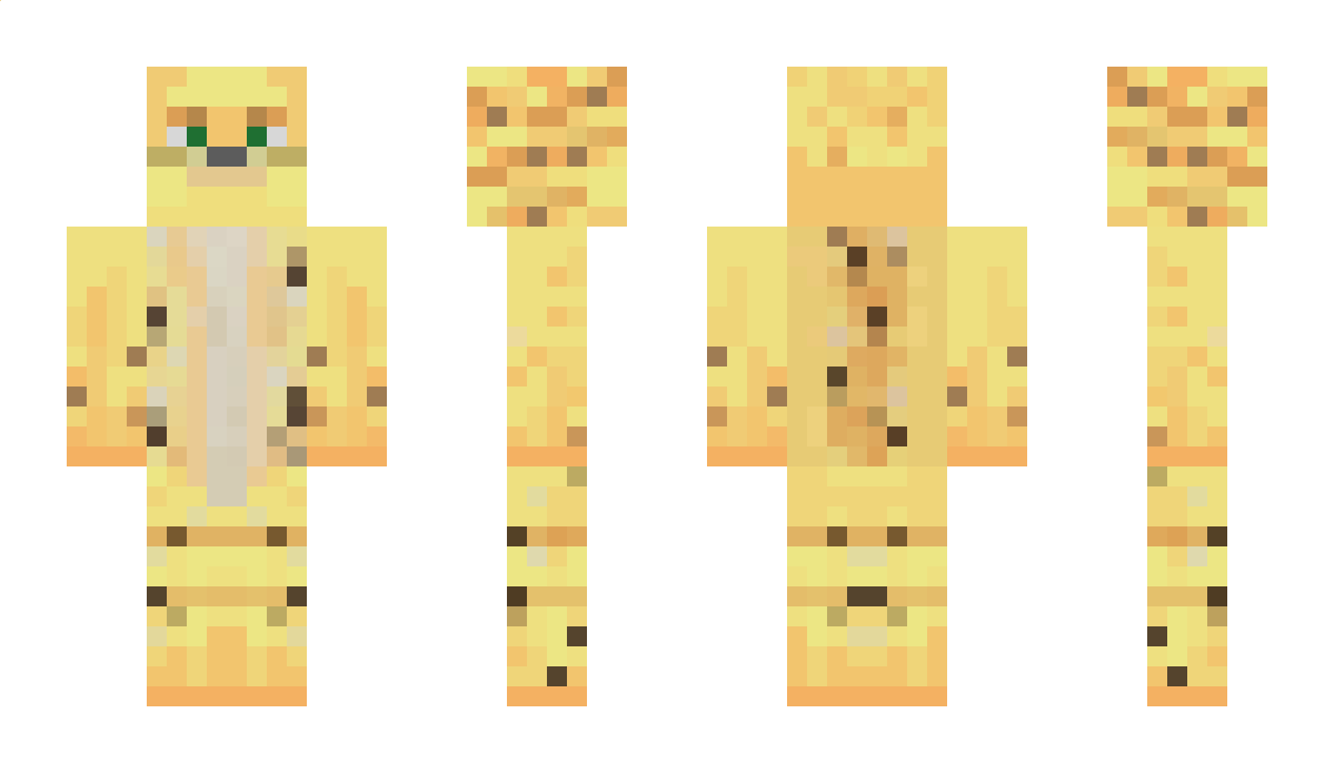 catxyz Minecraft Skin