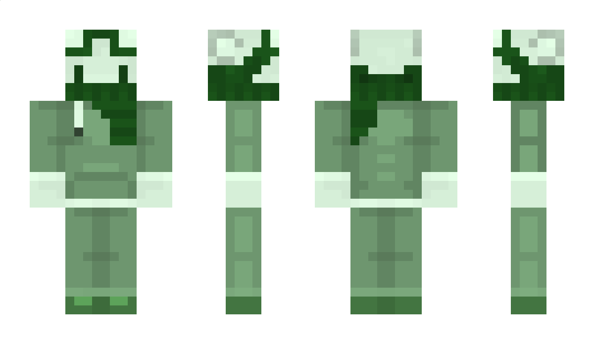 Bplay2623 Minecraft Skin