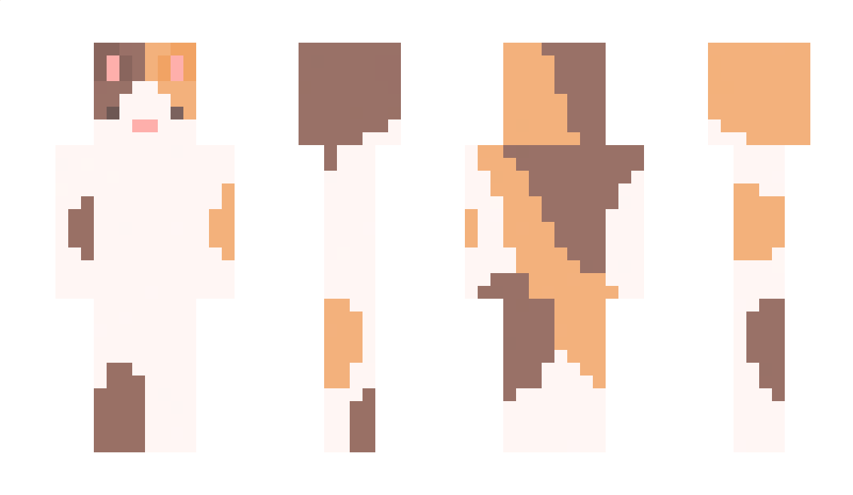 AranaMC Minecraft Skin