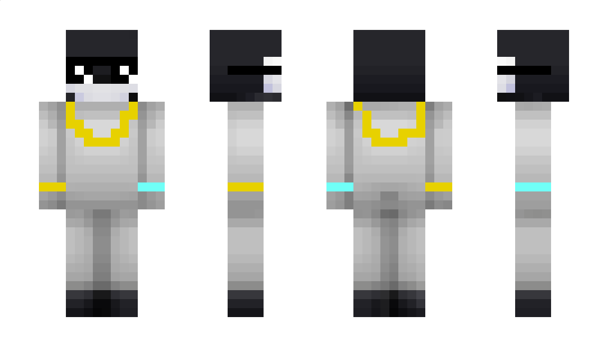 P3NGUINPR0 Minecraft Skin