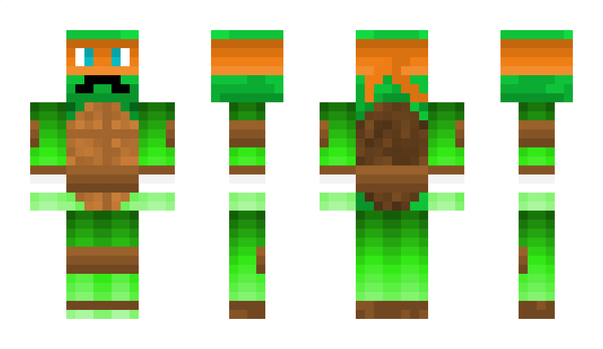 Y_turtle Minecraft Skin