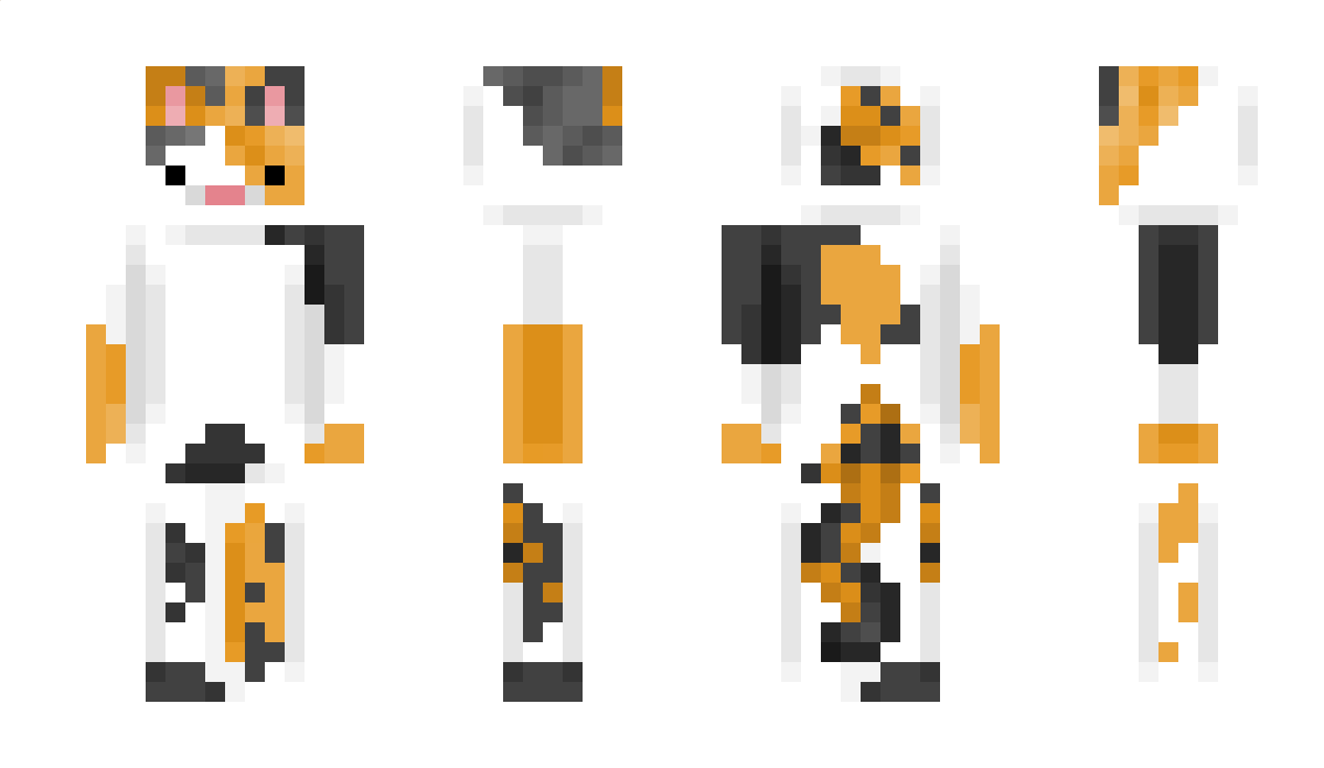 amiirayy Minecraft Skin