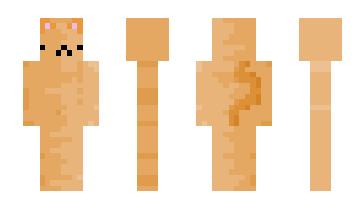 NULL_evetS Minecraft Skin