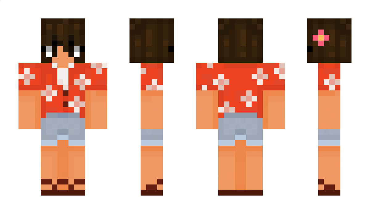 pohaho Minecraft Skin