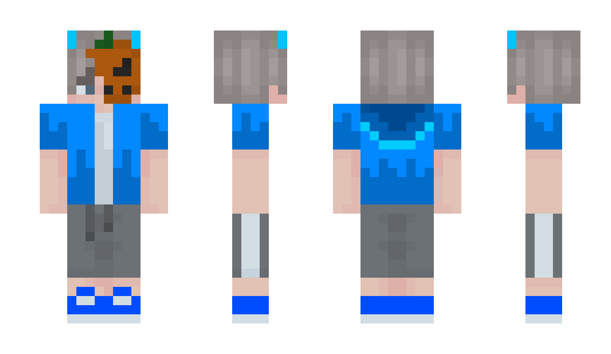 punchmadepolska Minecraft Skin