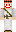 FLasHxHO Minecraft Skin