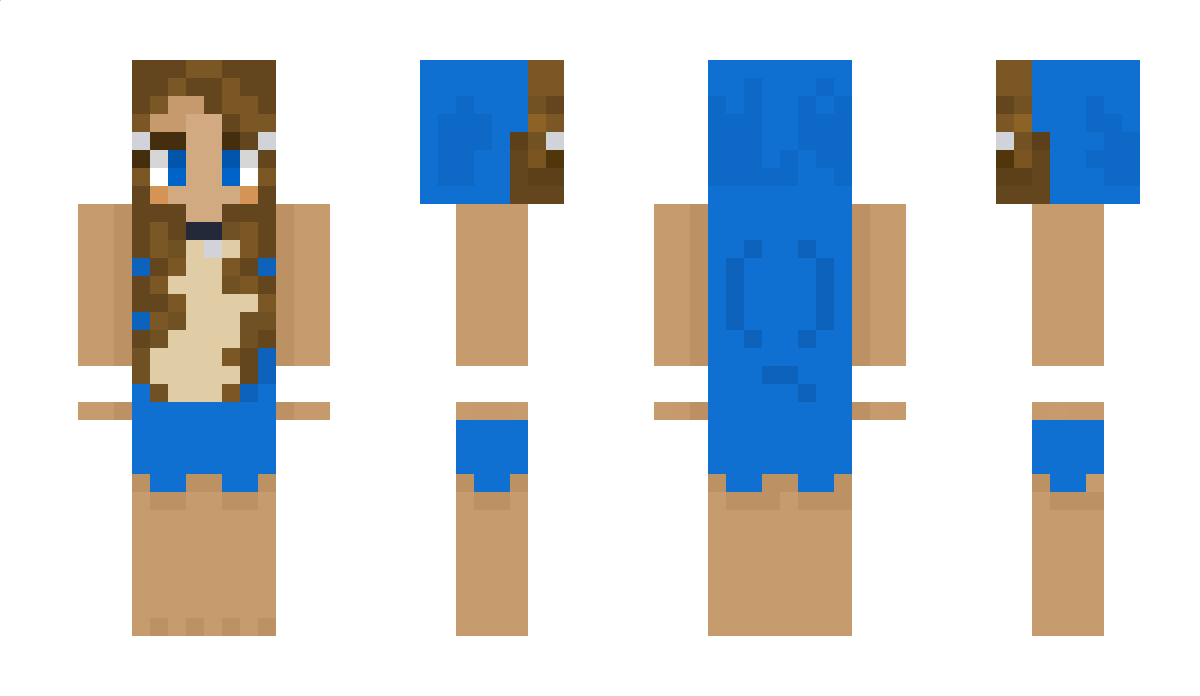 Sonic9617 Minecraft Skin