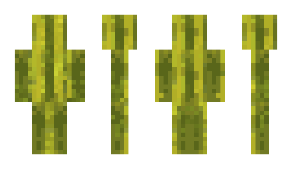 FriedPickleBoy Minecraft Skin