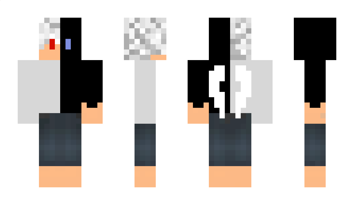 Videodrom Minecraft Skin