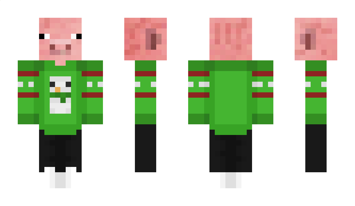 Quibblekid95 Minecraft Skin