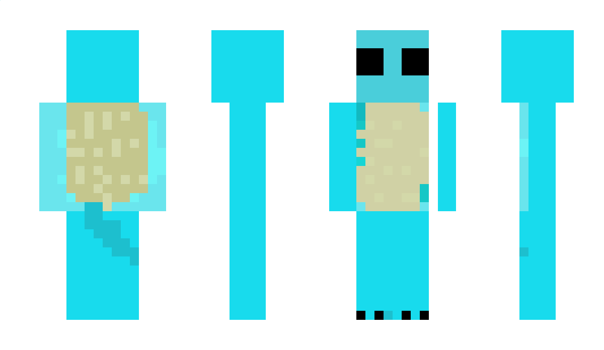 Captain_Squirtle Minecraft Skin