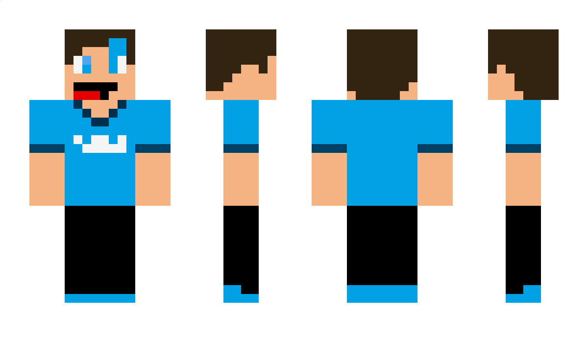 ACDtheCRAFT Minecraft Skin