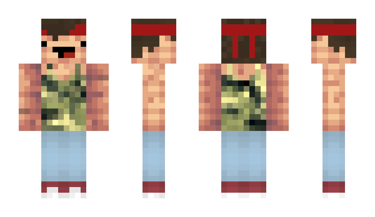 LPN Minecraft Skin