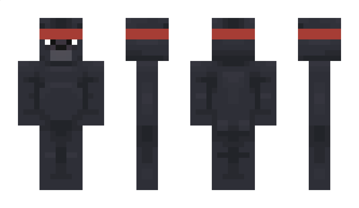 CopyAndPaste Minecraft Skin