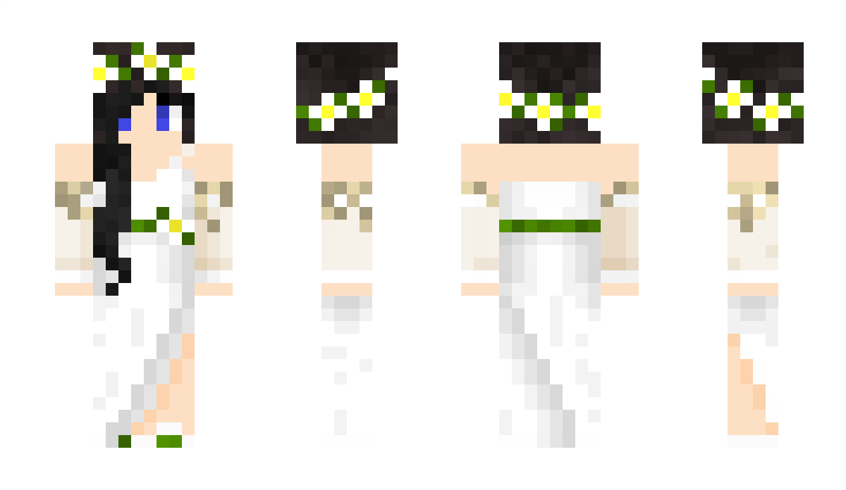 Gayballs Minecraft Skin