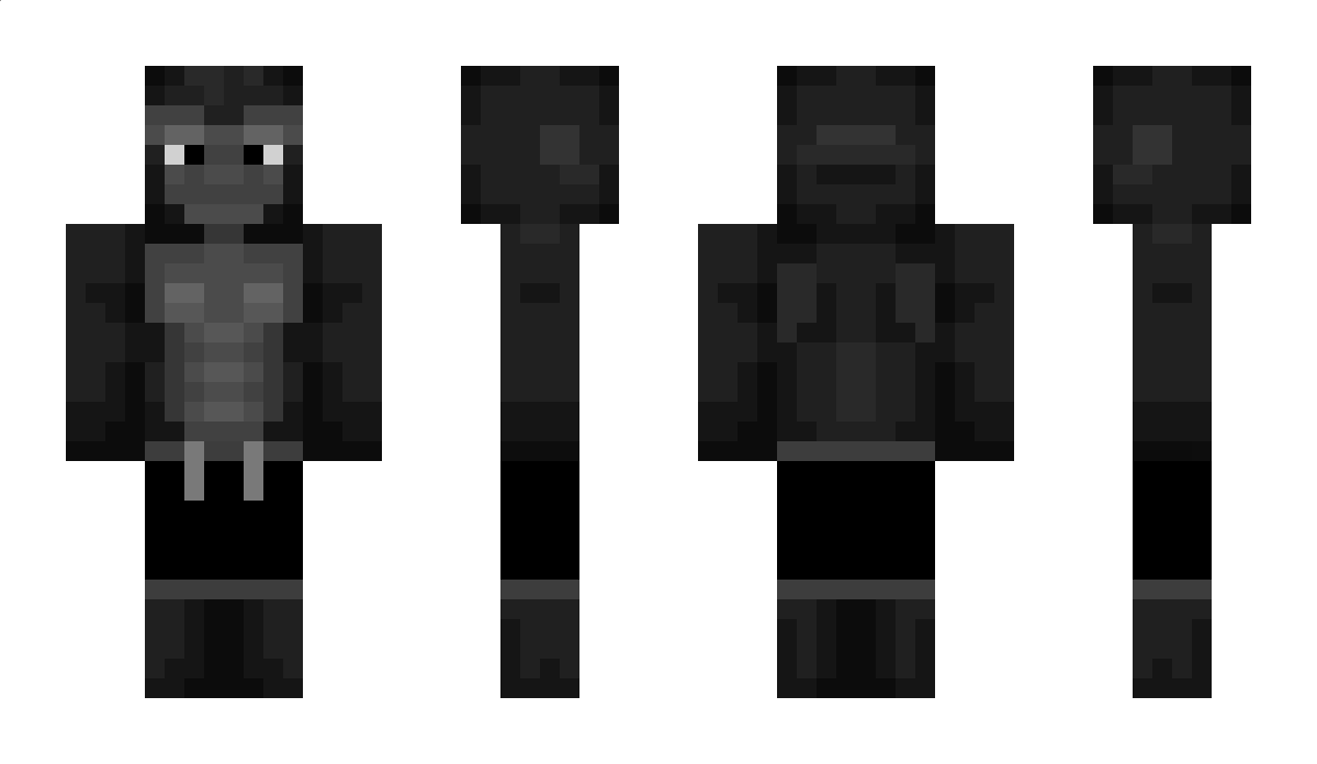 CH3_CH3 Minecraft Skin