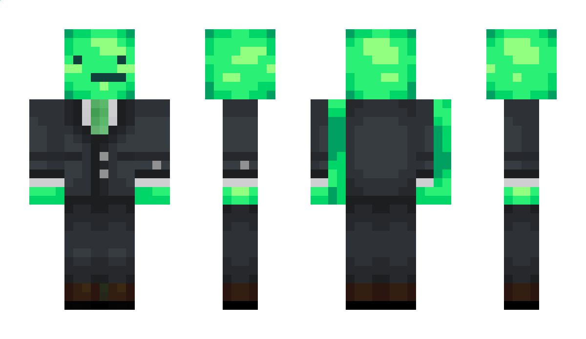 Turte Minecraft Skin