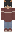 turtleboyplayz6 Minecraft Skin