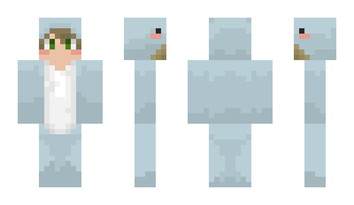 Snooker Minecraft Skin