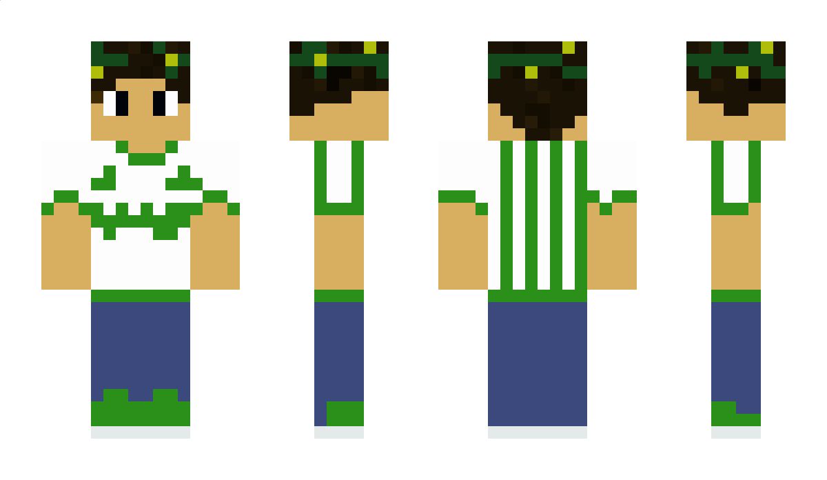 Kataphrakton Minecraft Skin