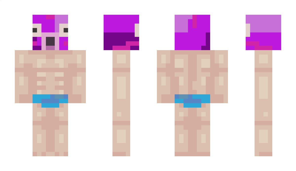 Minif1sh Minecraft Skin