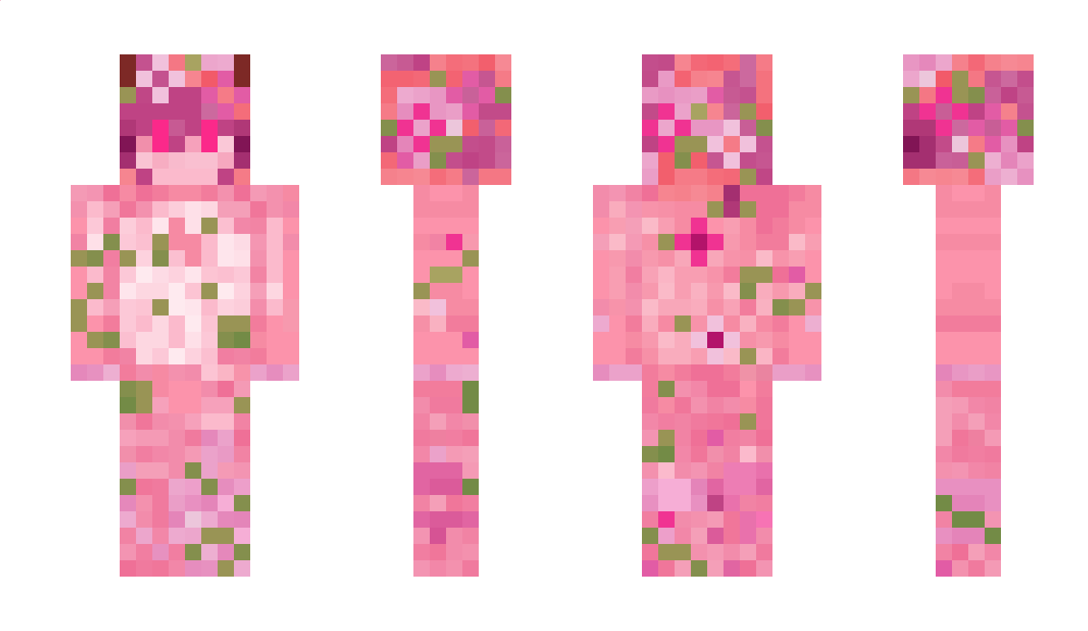 chixki_ Minecraft Skin