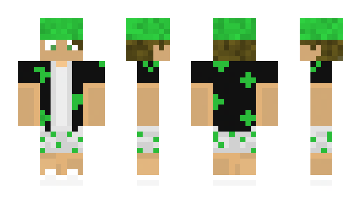 SzDomi00 Minecraft Skin