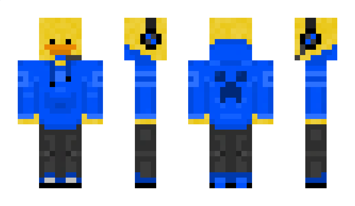 fierceninjazork Minecraft Skin