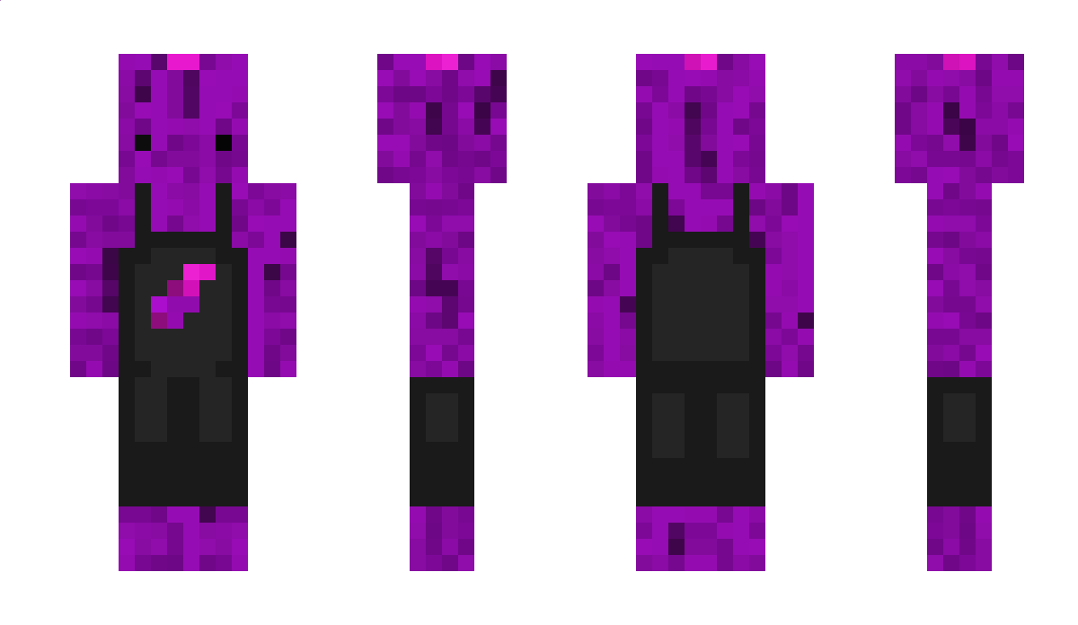 ceiwinel Minecraft Skin