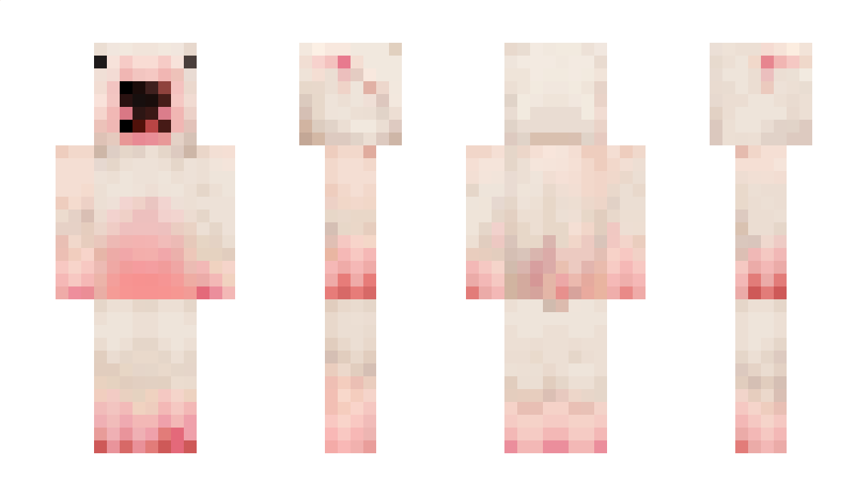 trippieboyz Minecraft Skin