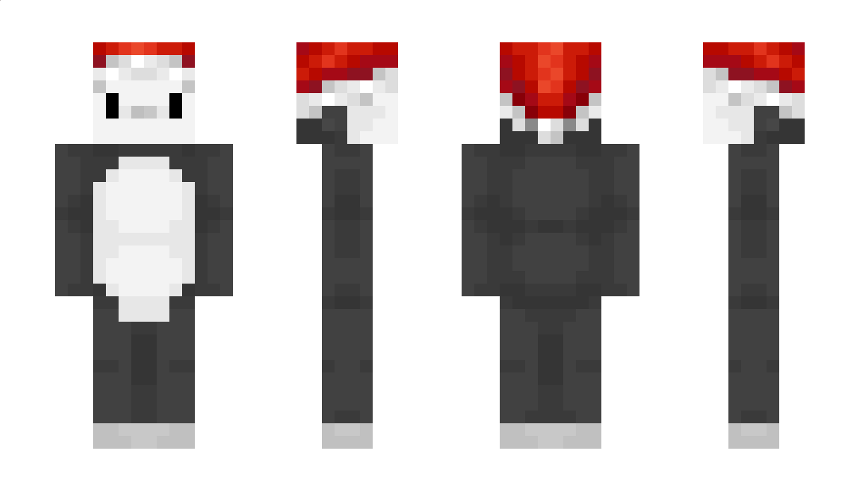 EndyGG Minecraft Skin