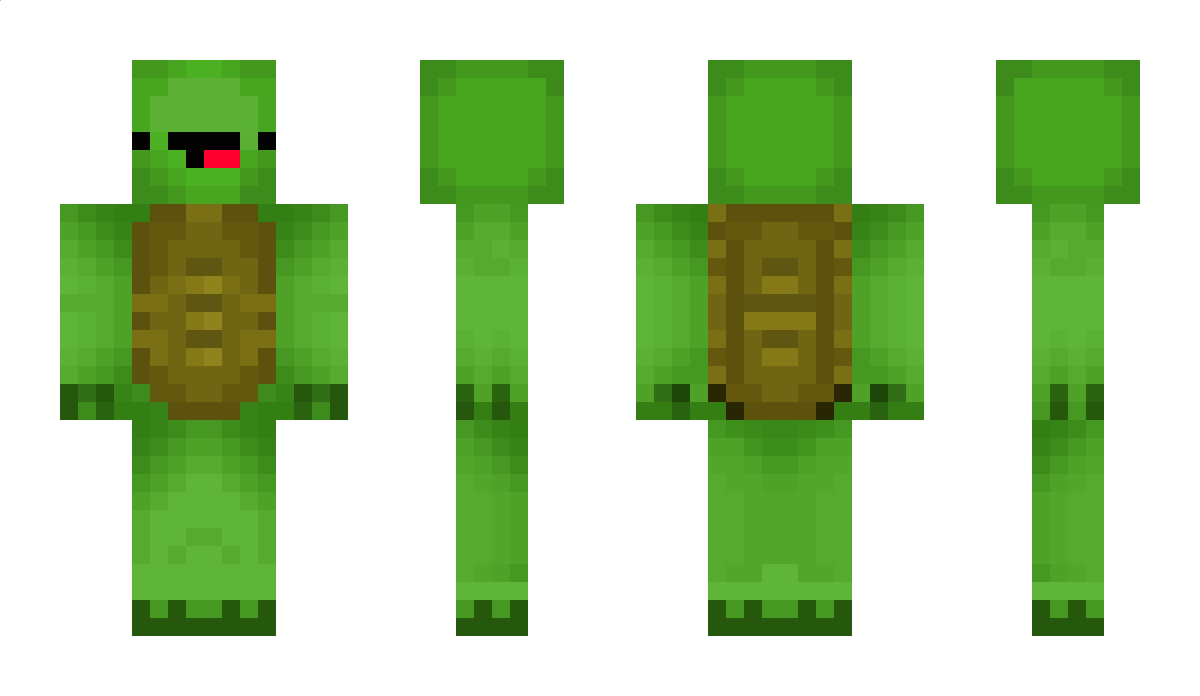 QuirkyTurtles Minecraft Skin