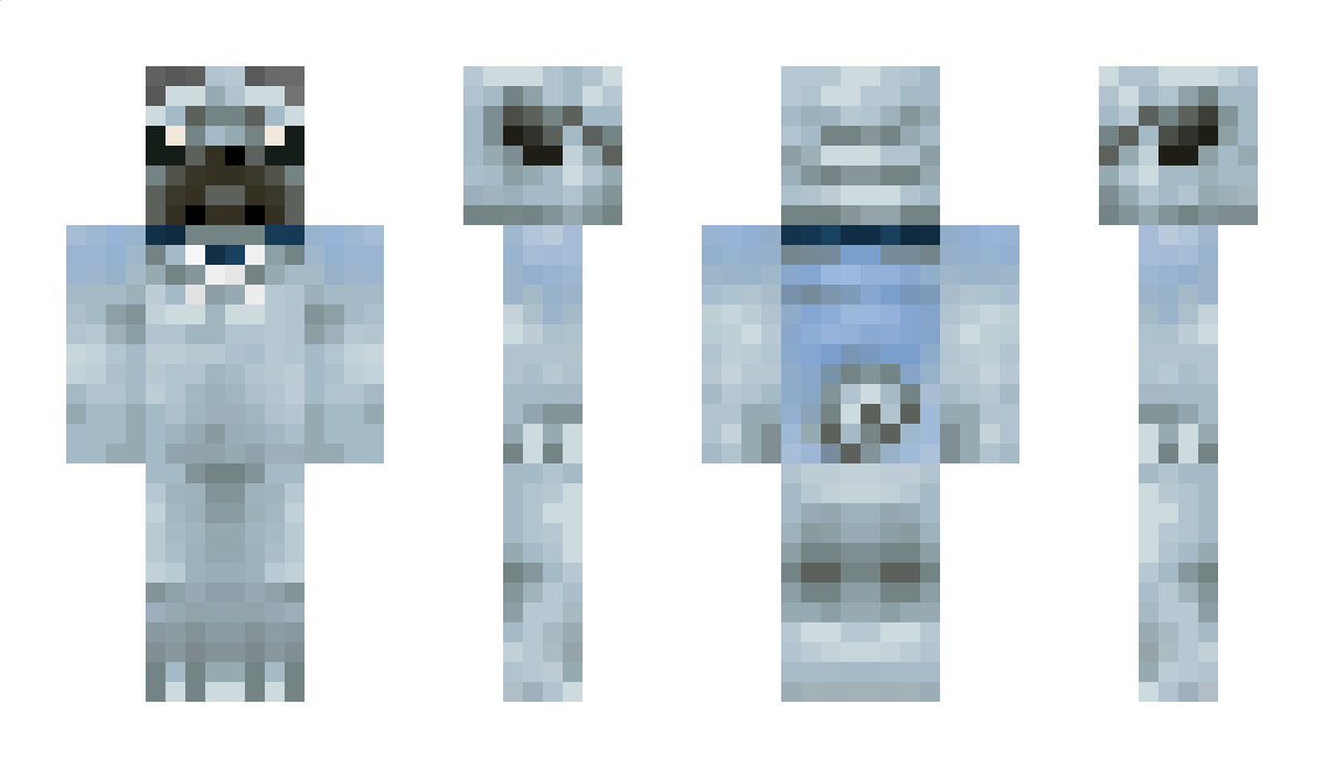 Domino27 Minecraft Skin