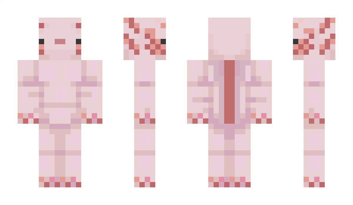Axololit Minecraft Skin