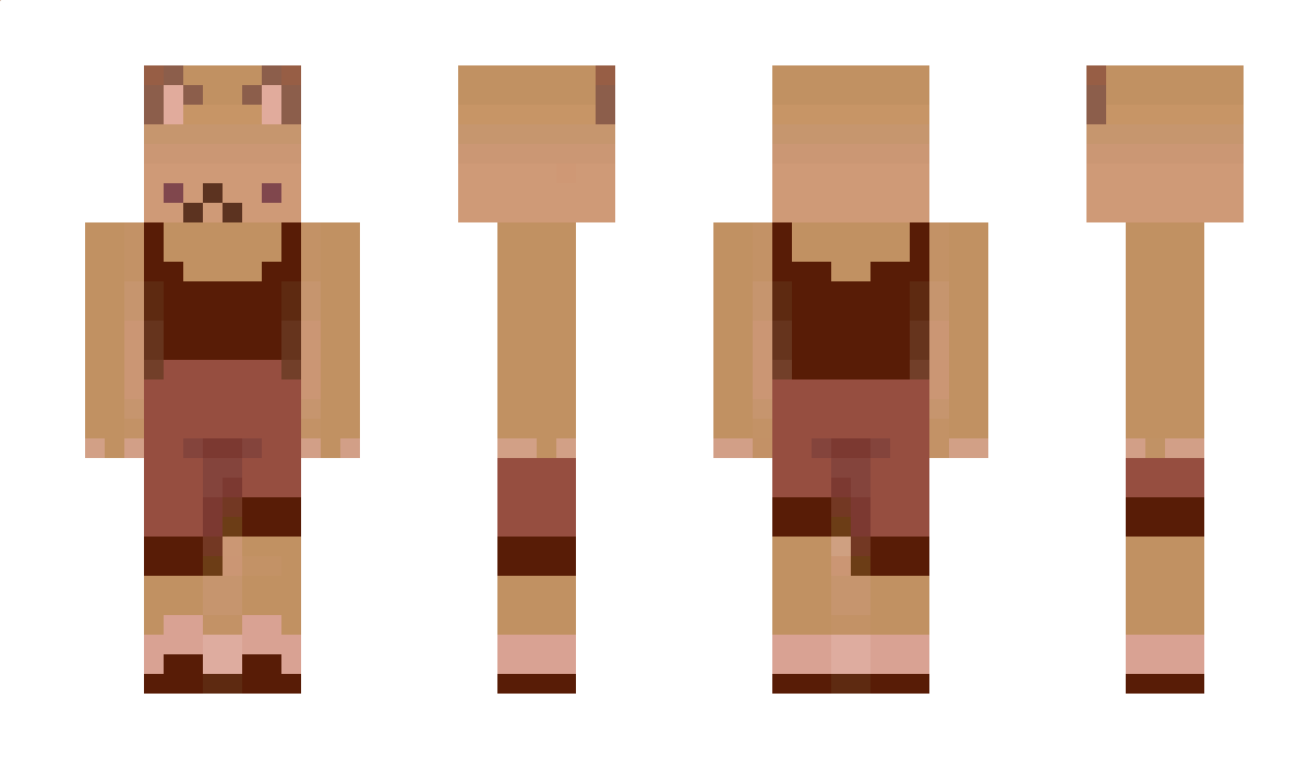 dumbidiot129 Minecraft Skin