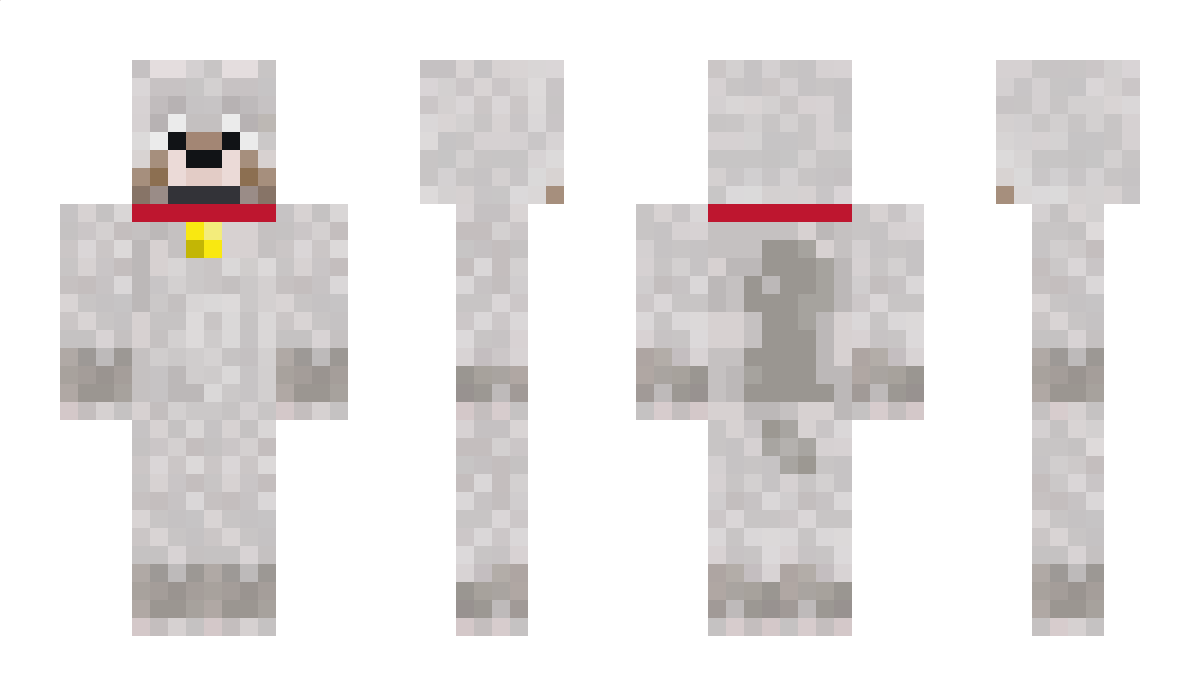 Pandi456 Minecraft Skin